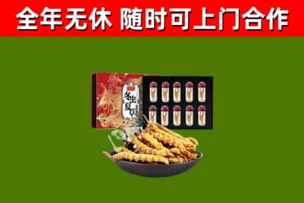 蒙城回收冬虫夏草价格